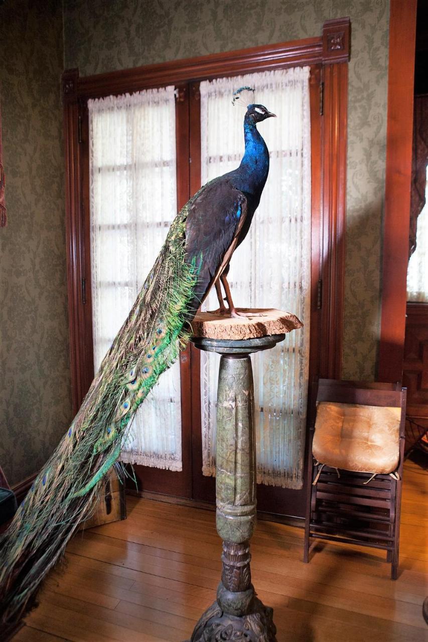 Alexander Mansion Bed & Breakfast Winona Bagian luar foto
